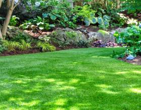 Patios, residential and commercial services